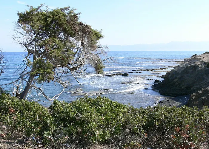 Aparthotel Tavros Polis