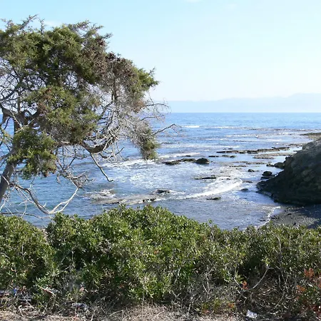 Aparthotel Tavros Polis