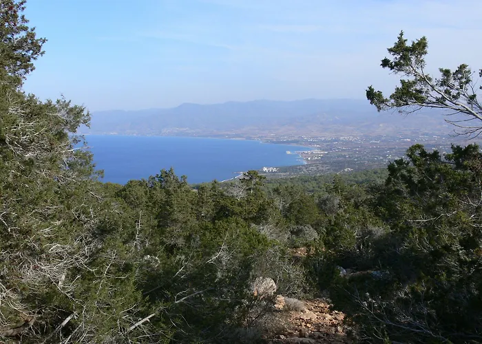 Tavros Lägenhetshotell Polis